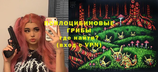 Альфа ПВП Кемь