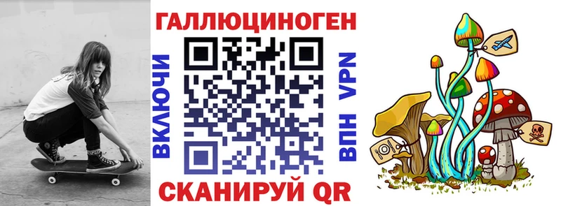 где можно купить   Ленинск  Псилоцибиновые грибы Cubensis 